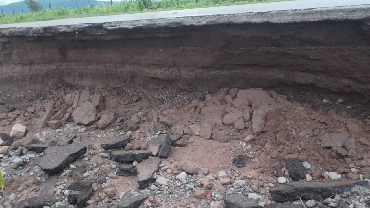 WhatsApp Image 2024-01-17 at 08.34.53 (1)