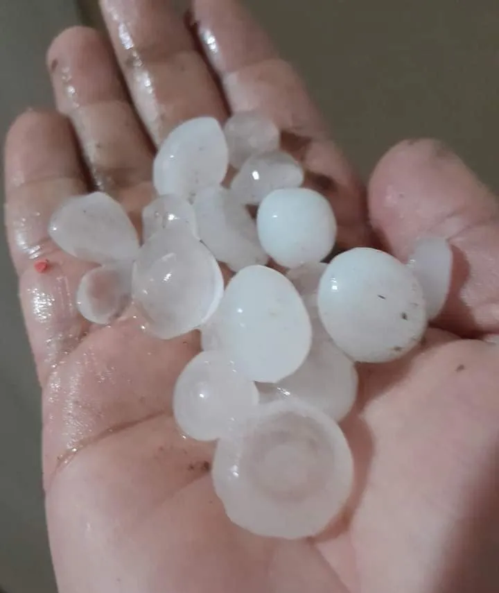 454429847_1015326167261269_8855352658563957600_n