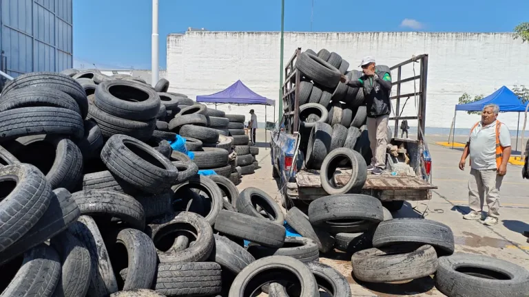 neumaton-23-3-768x432