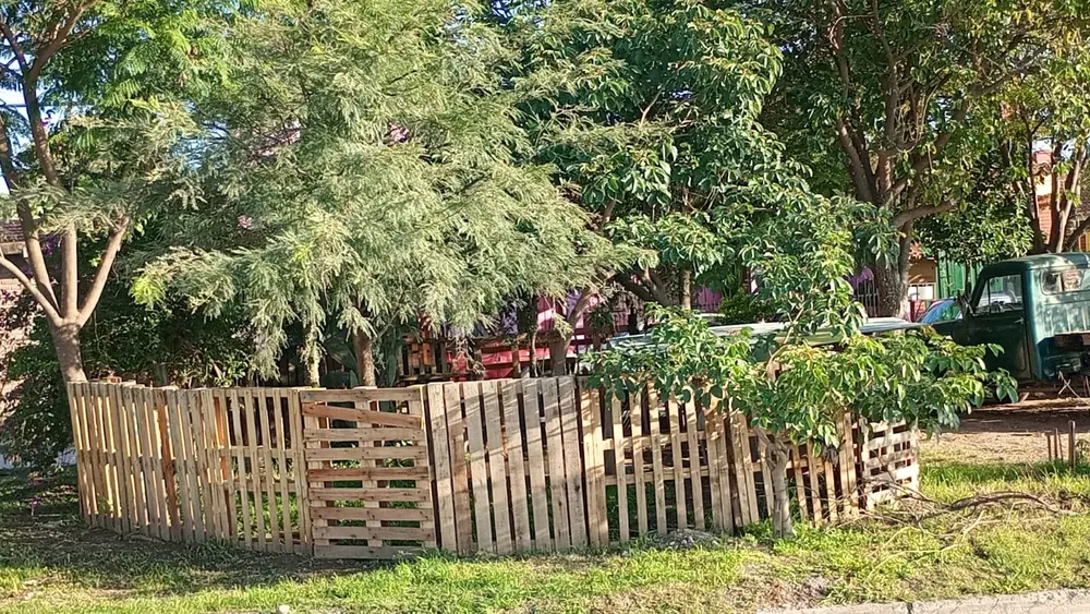 WhatsApp Image 2025-01-14 at 08.08.24