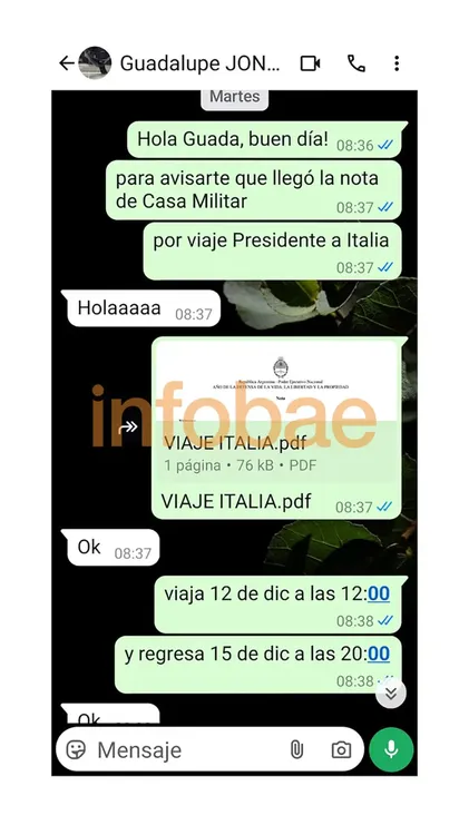 WhatsApp Image 2024-12-13 at 08.20.45