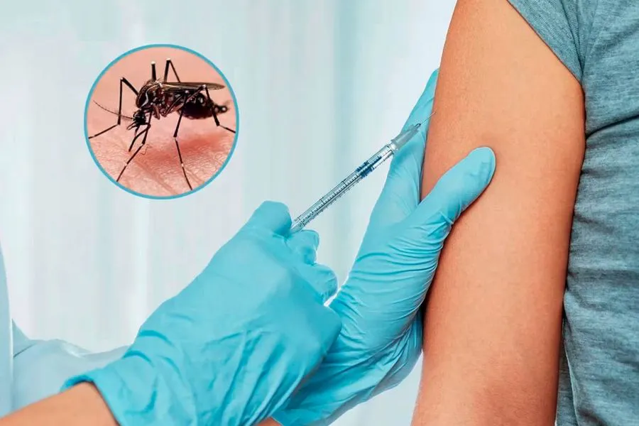 9682-dengue-situacion-en-salta