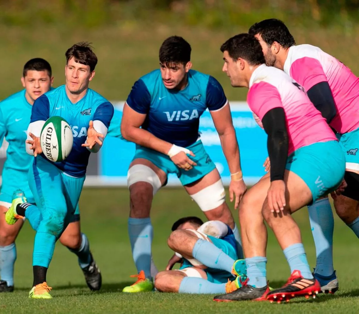 299249-pumas