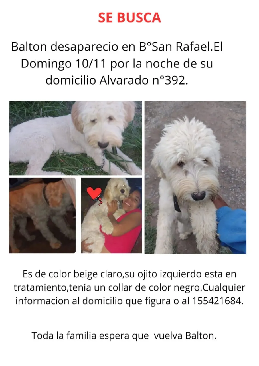 WhatsApp Image 2024-11-22 at 10.35.30