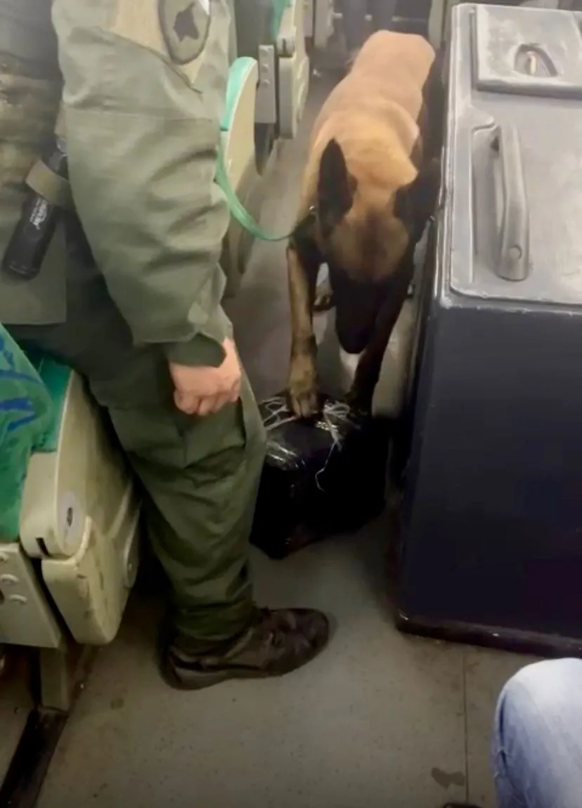 Trasladaba más de ocho kilos de cocaína en un tour de compras (5)