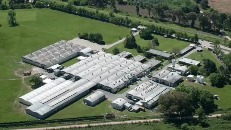 WhatsApp Image 2024-05-30 at 11.13.39