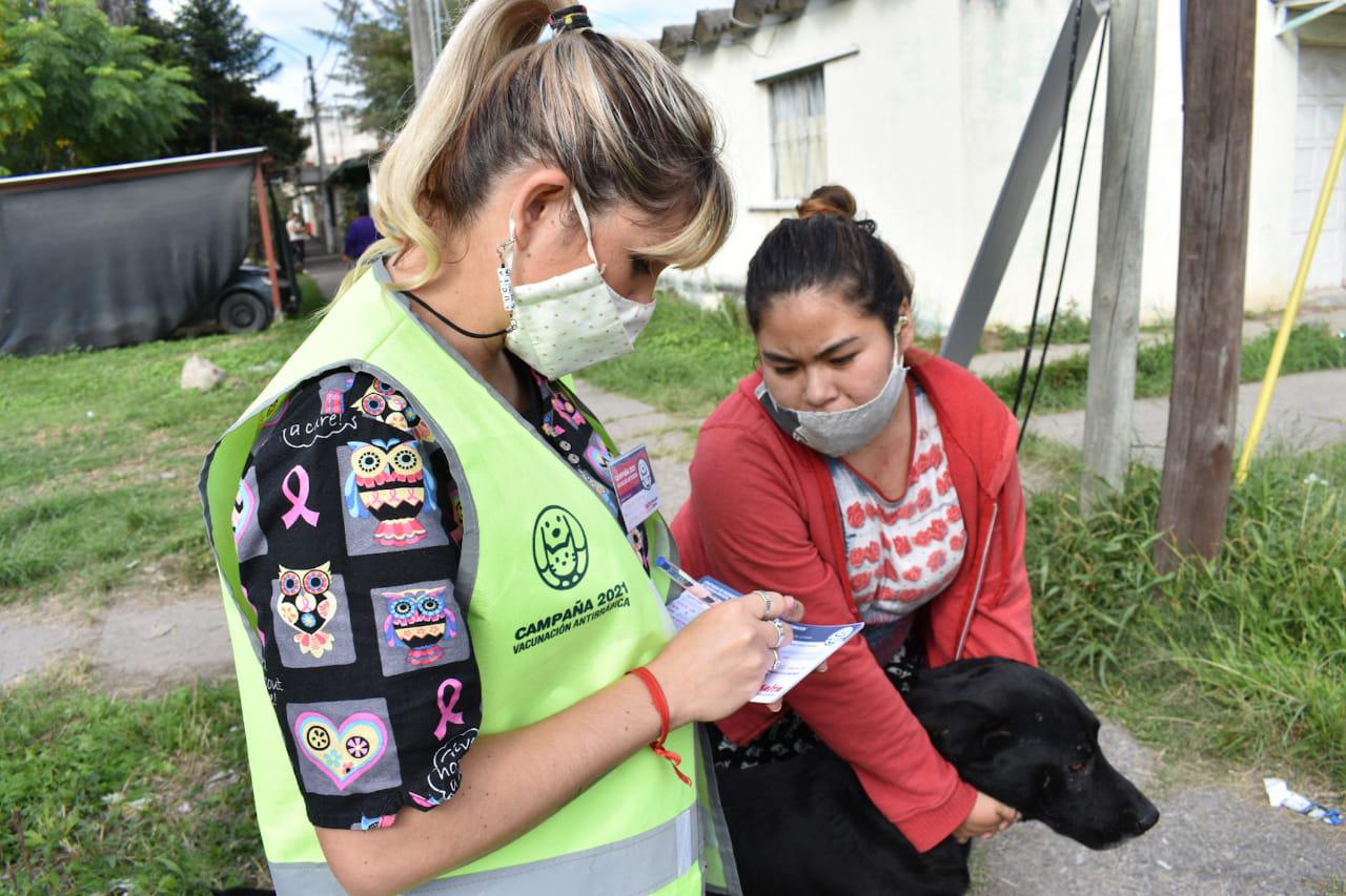 vacunacion-antirrabica-13