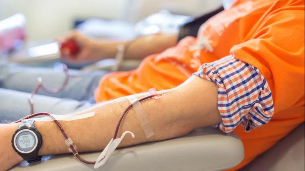 96652-el-centro-regional-de-hemoterapia-convoca-a-donar-sangre-de-los-grupos-a-b-y-0