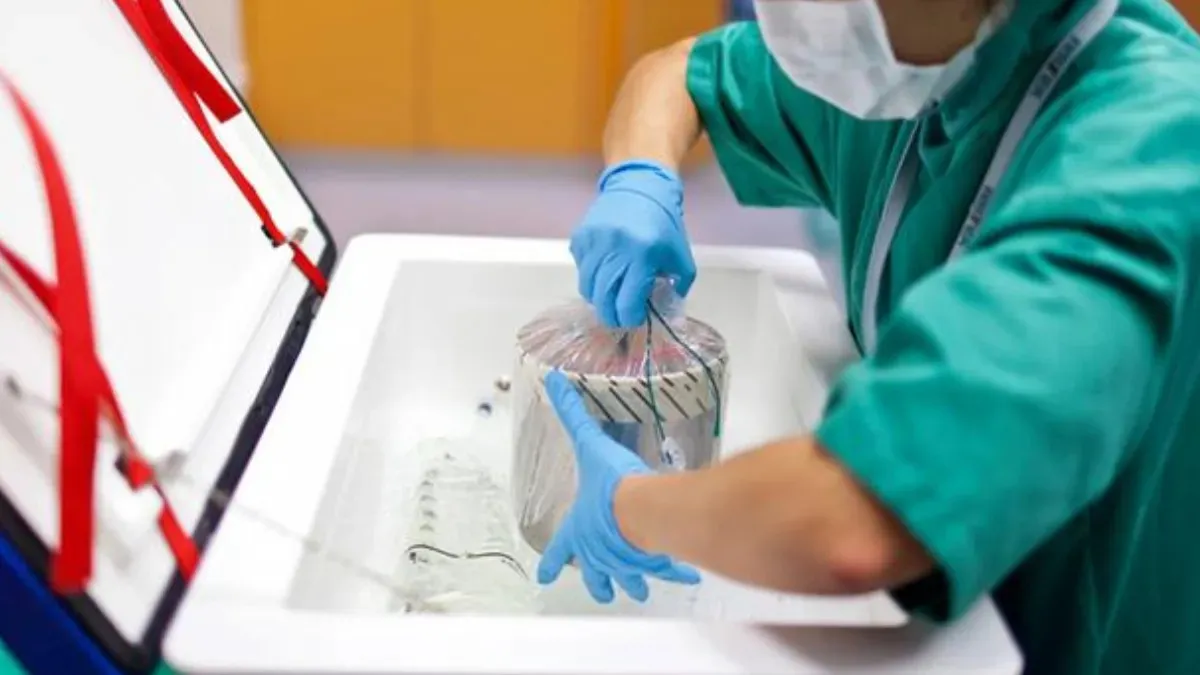 WhatsApp Image 2024-08-15 at 08.59.24