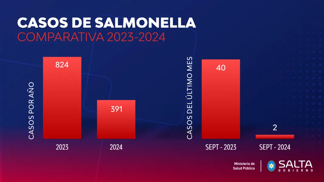 98262-en-el-ultimo-anio-los-casos-de-salmonelosis-disminuyeron-un-525-en-la-provincia