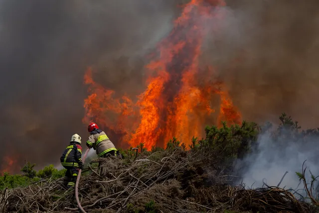 bomberos-incendio-forestal-chin-chin
