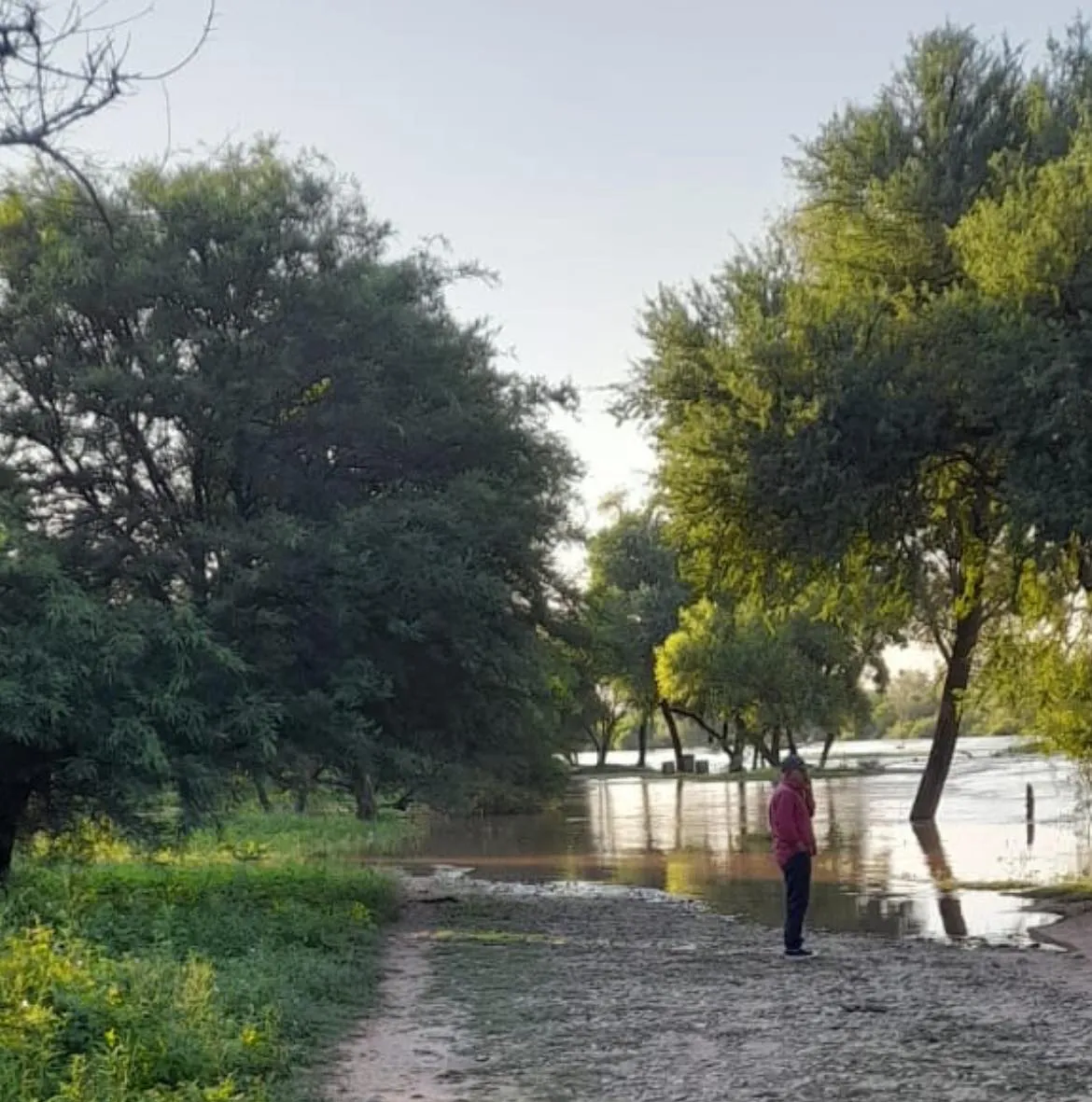 631268915_1500884378734323_1415311988148927900_n