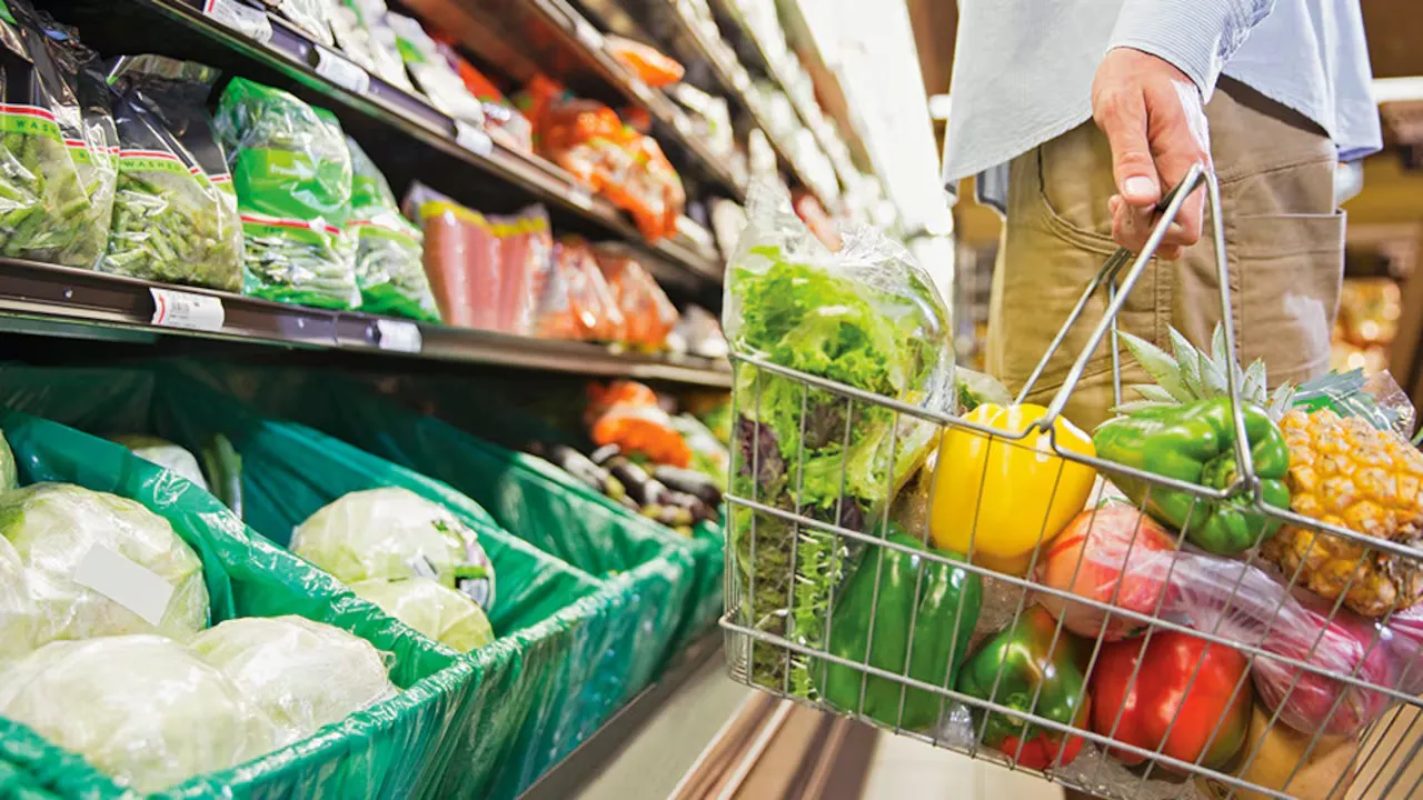 WhatsApp Image 2025-01-06 at 06.49.42