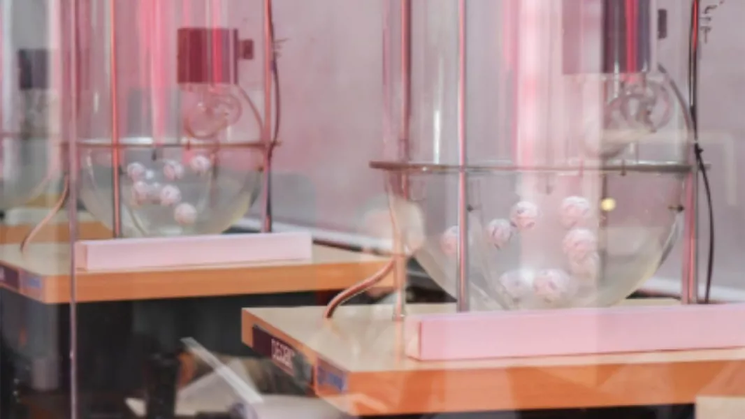 100246-el-ipv-realizara-el-primer-sorteo-del-anio-del-programa-cumplis-y-ganas