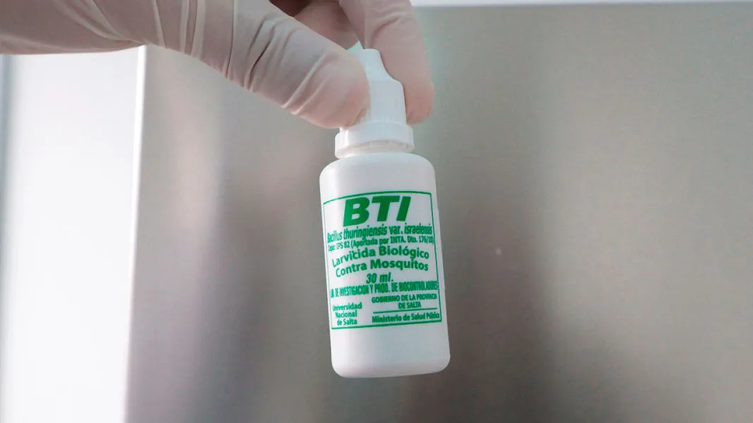 11446-abordaje-preventivo-del-dengue-priorizando-la-eliminacion-de-criaderos-y-la-colaboracion-institucional