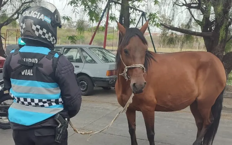 WhatsApp-Image-2025-10-28-at-19.52.40-1