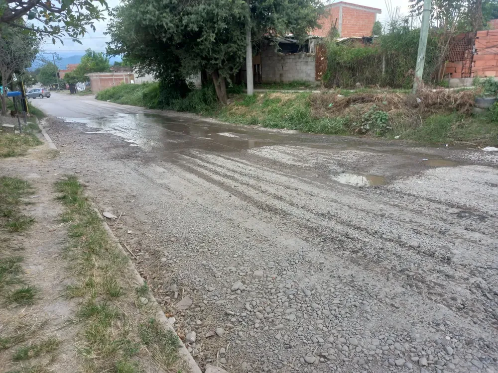 WhatsApp Image 2024-03-27 at 18.26.24