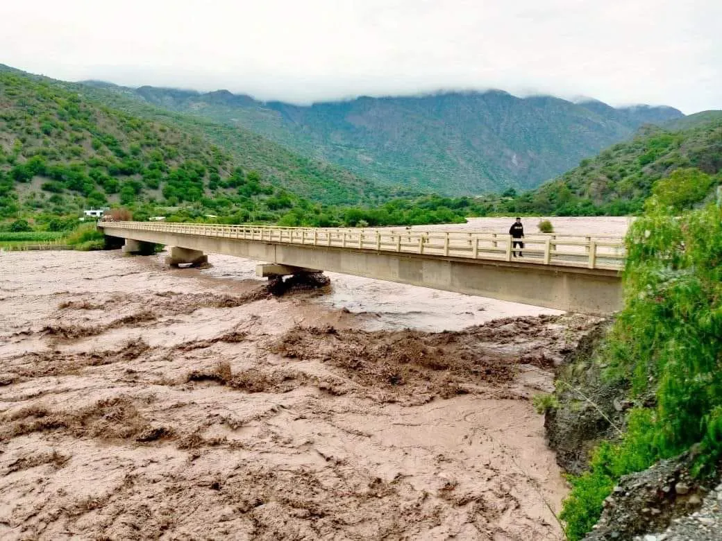 WhatsApp Image 2026-01-22 at 06.39.23