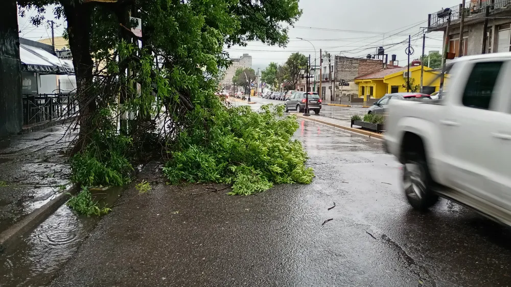 WhatsApp Image 2025-02-13 at 08.07.51