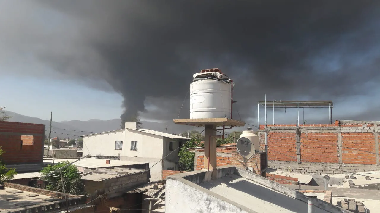 WhatsApp Image 2024-09-19 at 11.29.53