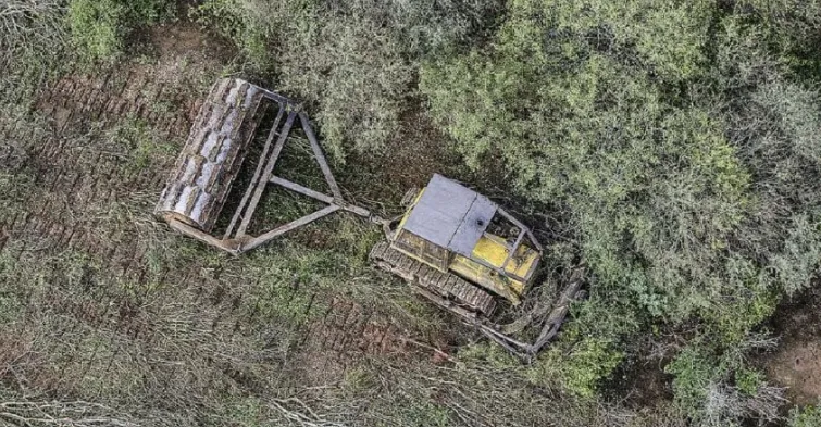 aaaa