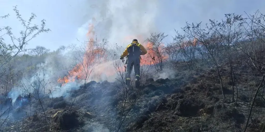 WhatsApp Image 2024-09-04 at 06.33.48