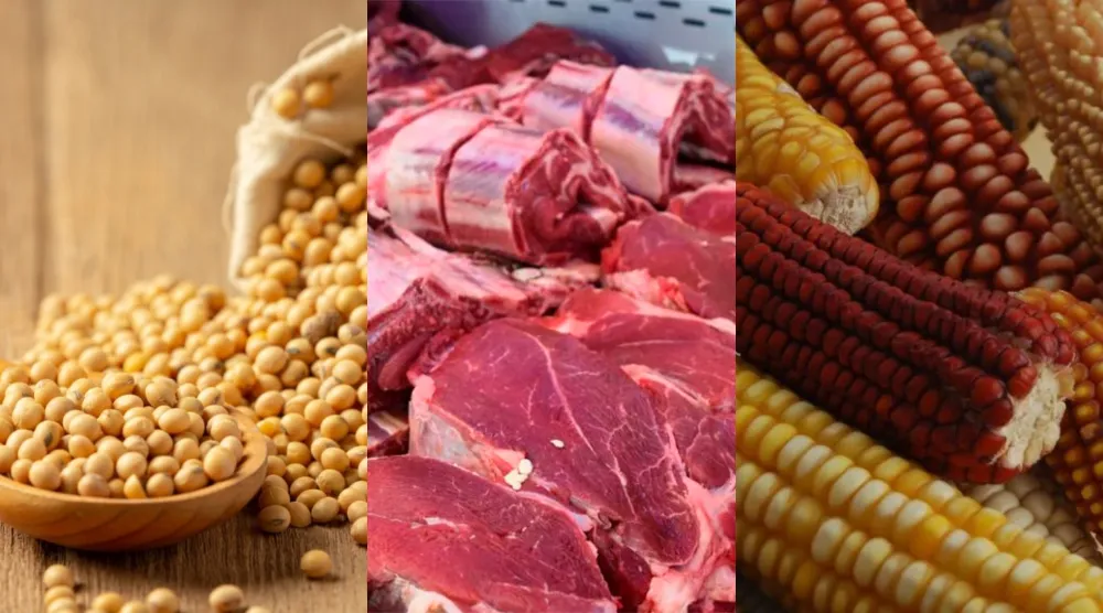 soja-carne-maiz-retenciones-campo