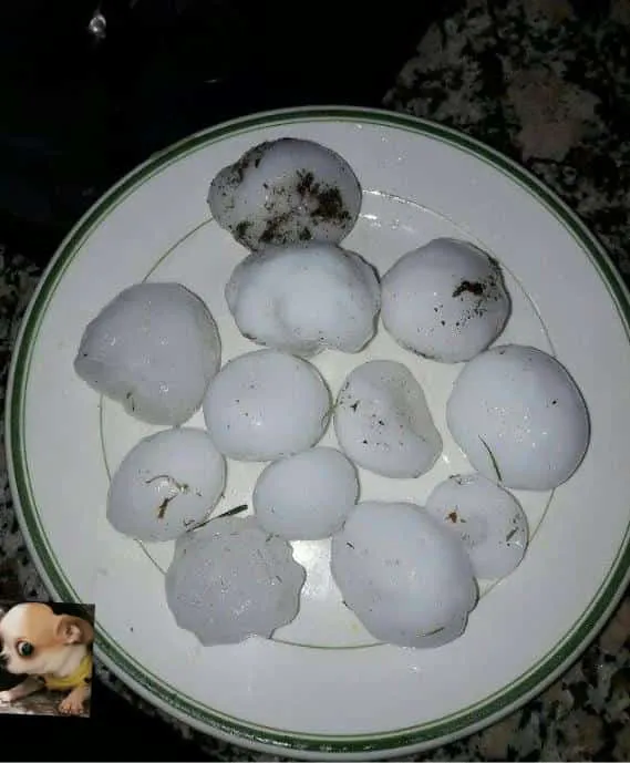 WhatsApp Image 2024-08-07 at 01.30.01