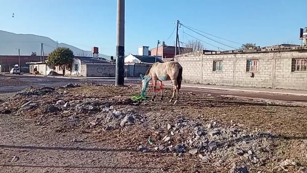 PORTADA PARA TODO SALTA