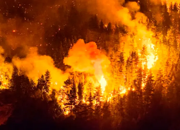 multimedia.normal.b90eb71512d021ba.bm9ybWFsLndlYnA=