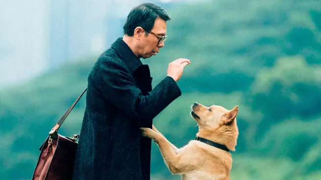 hachikojpg