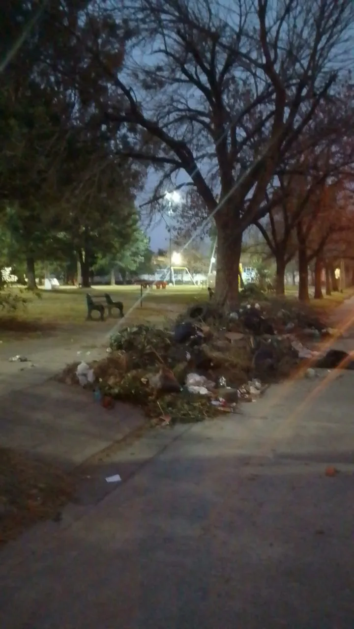 WhatsApp Image 2024-06-25 at 06.51.50