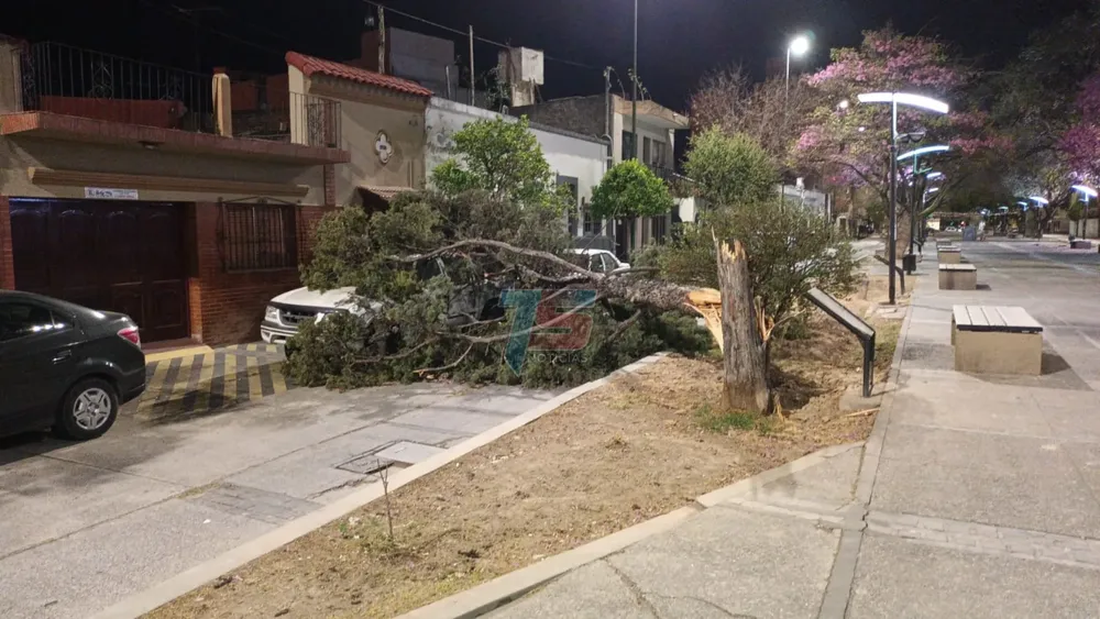 PORTADA PARA TODO SALTA