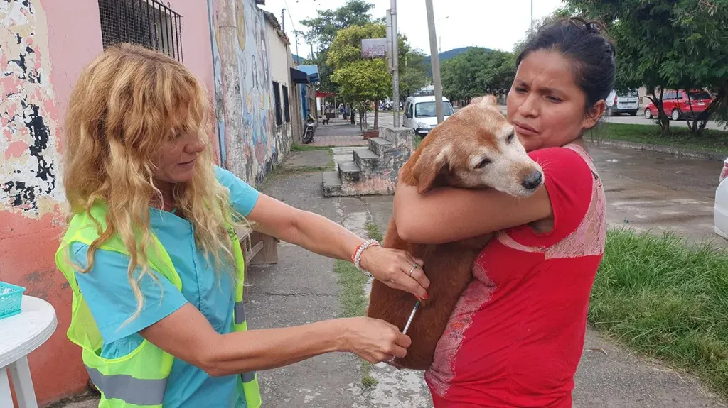 WhatsApp Image 2025-01-17 at 09.43.08