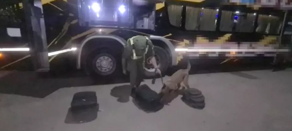 un_pasajero_ocultaba_seis_kilos_de_cocaina_en_su_equipaje_1