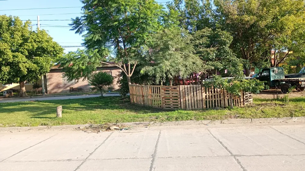 WhatsApp Image 2025-01-14 at 08.08.05