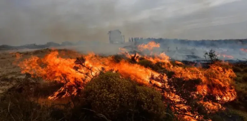 INCENDIOS-CTES