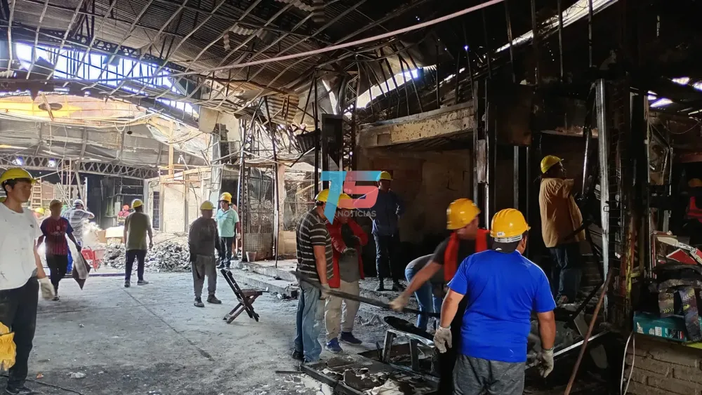 WhatsApp Image 2024-11-11 at 10.25.39