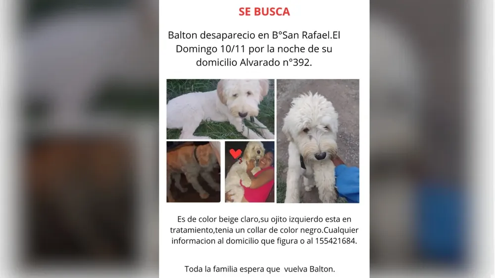 PORTADA PARA TODO SALTA