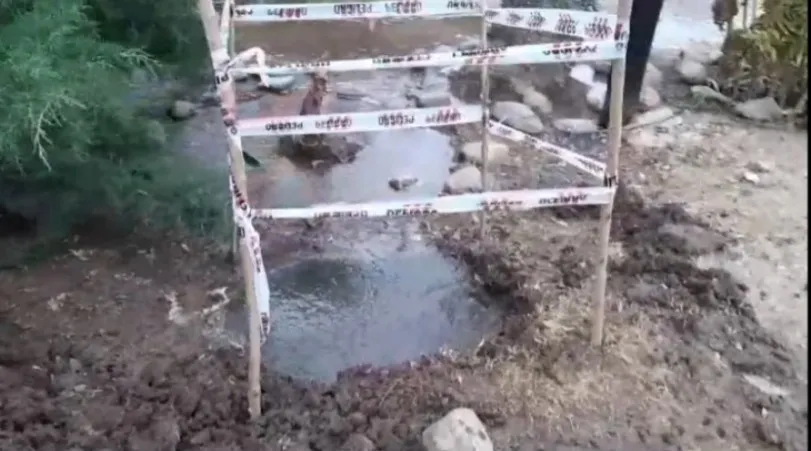 WhatsApp Image 2024-07-04 at 08.42.59