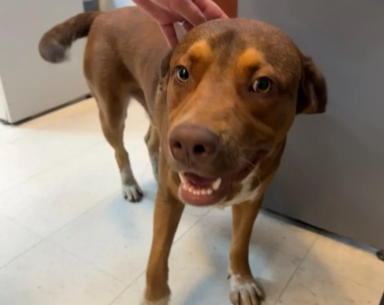 1001522218-scaled-e1768939903434-768x611