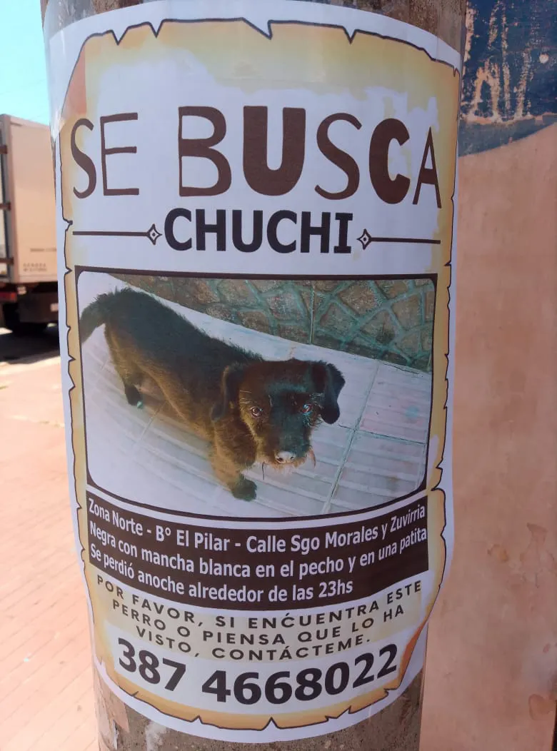 WhatsApp Image 2025-02-03 at 13.54.37