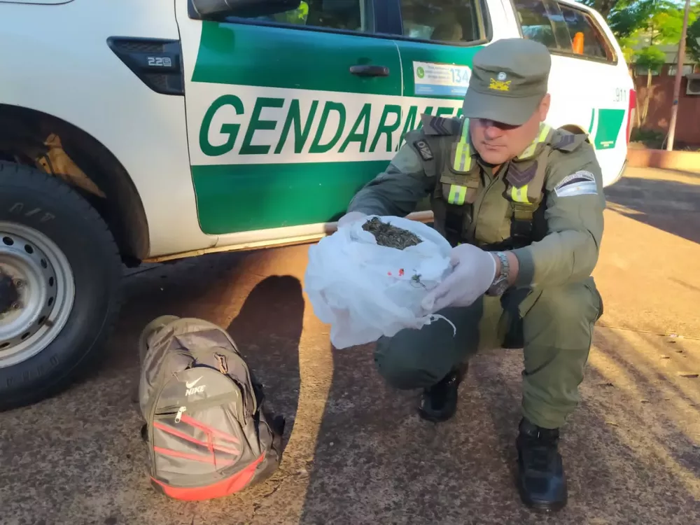 pasajero_ocultaba_una_bolsa_con_cogollos_de_marihuana_2