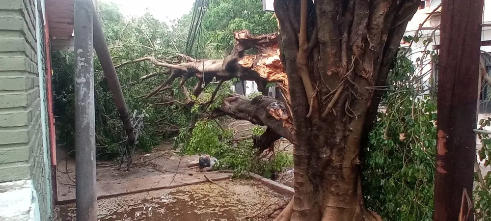 462216908_1194612698845067_1717618330776060457_n