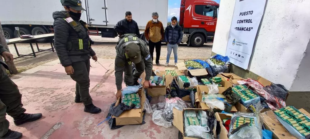 HOJAS DE COCA-TUCUMAN-111 KILOS (1)