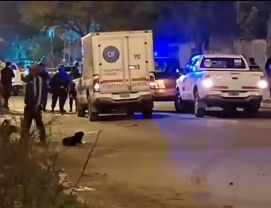 536276158_786079377278471_5467187147510111800_n