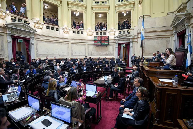 senado-ley-bases