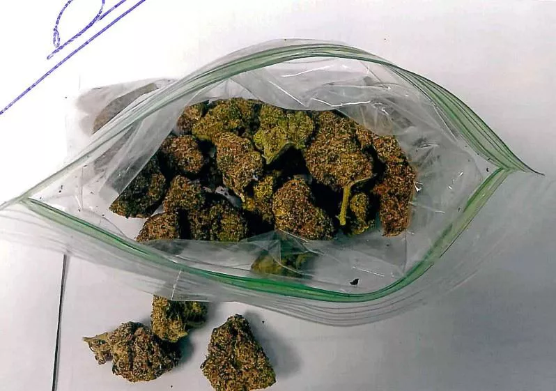 intentaba-meter-mariguana-a-vallarta-2-cover