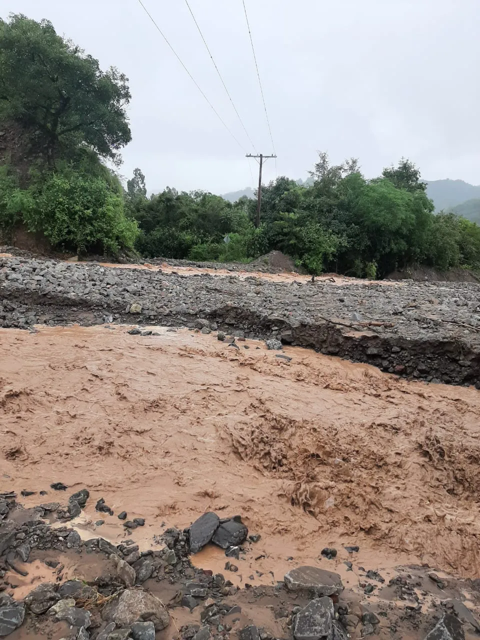 WhatsApp Image 2025-02-19 at 01.49.49