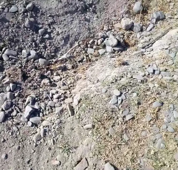 WhatsApp Image 2024-08-01 at 08.33.09